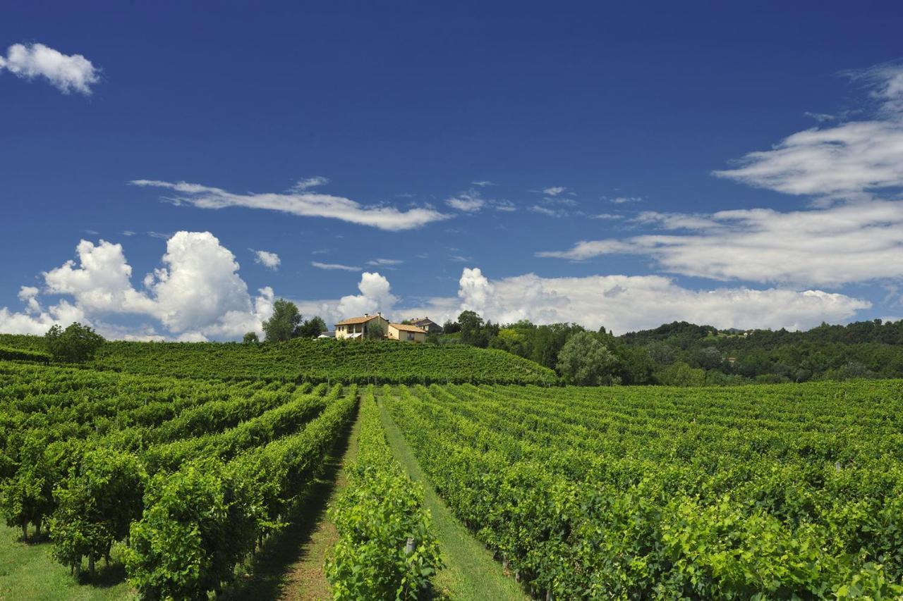 Agriturismo Moro Barel Vittorio Veneto Bagian luar foto